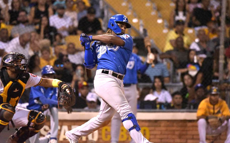 liceybonigaciomira