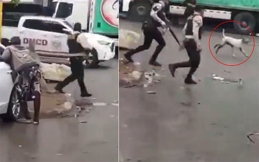 Fuerte tiroteo en La 42 de Capotillo durante operativo