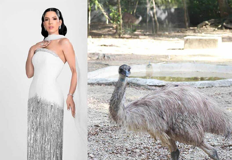 Los memes de la alfombra roja de Premios Soberano 2024