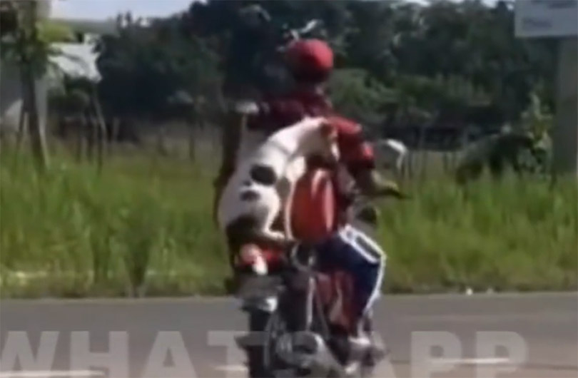 Inusual video viral en las redes sociales causa revuelo