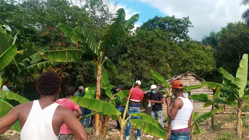 Hallan hombre 75 años sin vida en un conuco