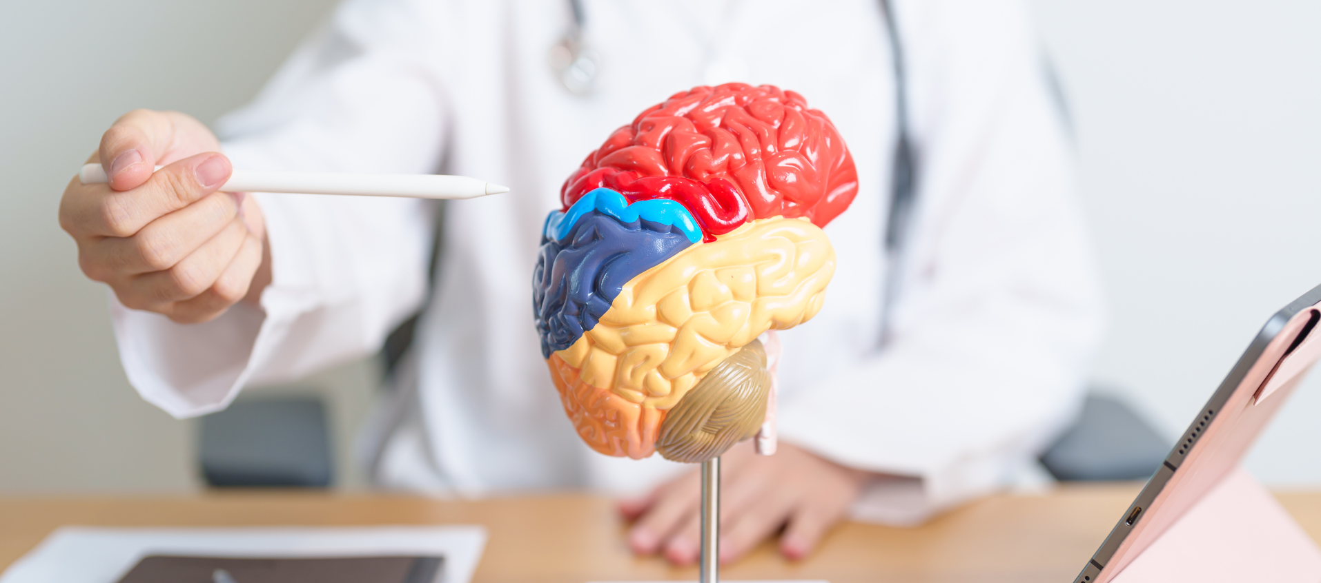 Cerebro.png