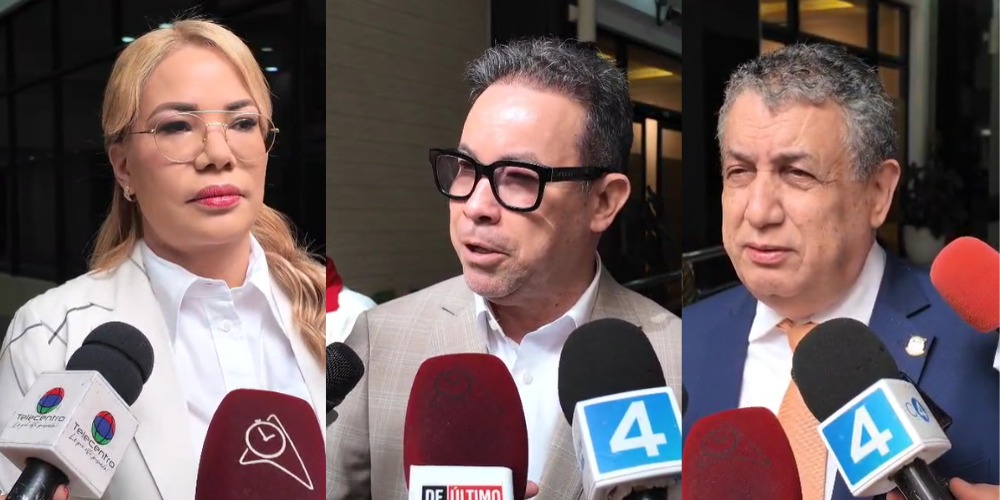 Congresistas exigen a Abinader tomar medidas contra Miguel Mejía