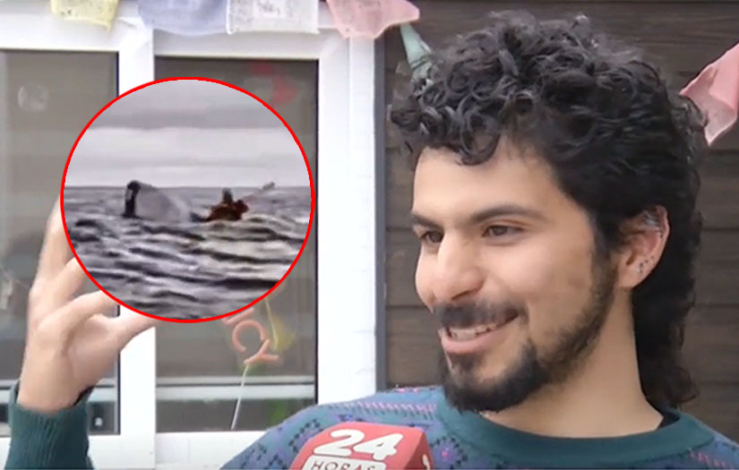 Un hombre es tragado por una ballena jorobada y todo queda registrado en un impactante video
