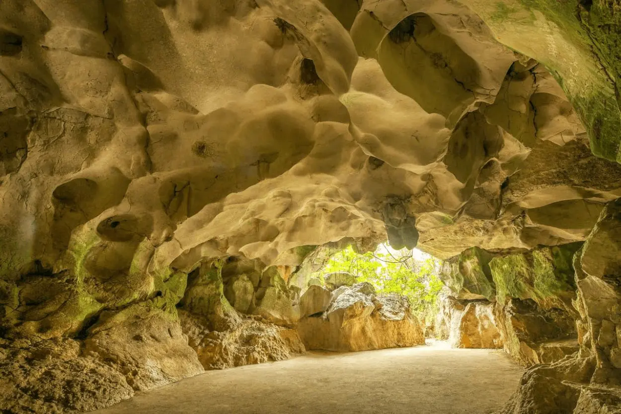 Ambientalistas respaldan el cese de mineras en entorno de las Cuevas de Pomier