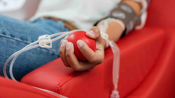 Dona-sangre-608x342.png