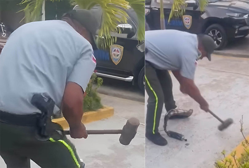 Teniente de la Digesett actúa contra ruido de pasoleros en Cabrera