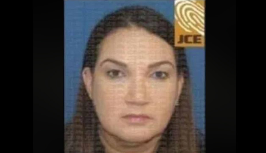 Una exvicecónsul dominicana vinculada a red de piratería digital
