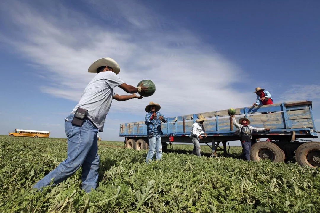 Estados Unidos celebra el Día del Trabajo bajo la sombra de los trabajadores inmigrantes