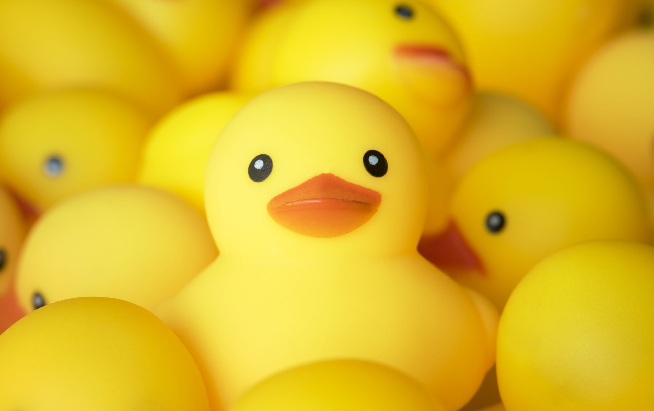 El truco del pato de goma para resolver problemas según la psicología