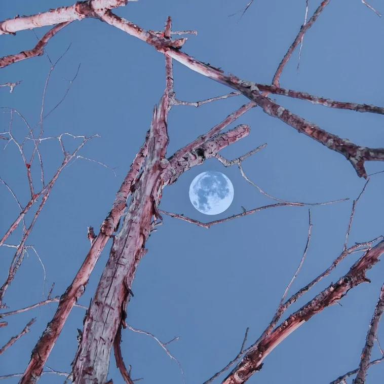Cómo afecta la Superluna llena en Piscis del 7 de octubre y el ritual para aprovechar su energía