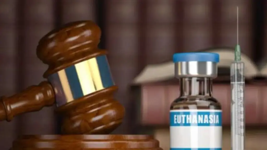 Iglesia católica mexicana critica legalizar eutanasia