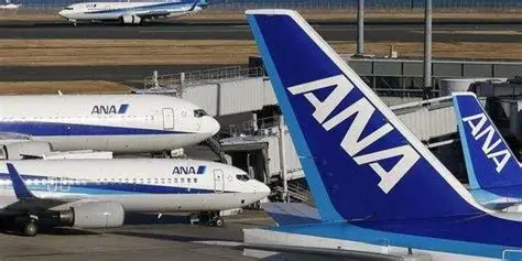 Aerolínea cancela vuelos por software de los Airbus A320