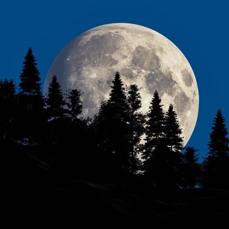 Qué trae la Luna Llena en Aries del 5 de noviembre
