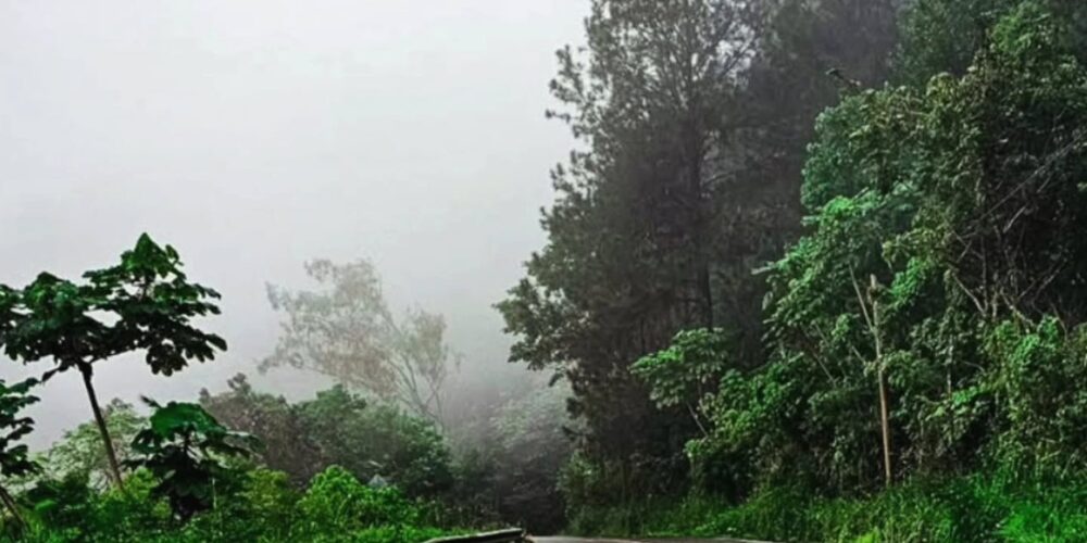 Valle de Constanza amanece con temperaturas extremas