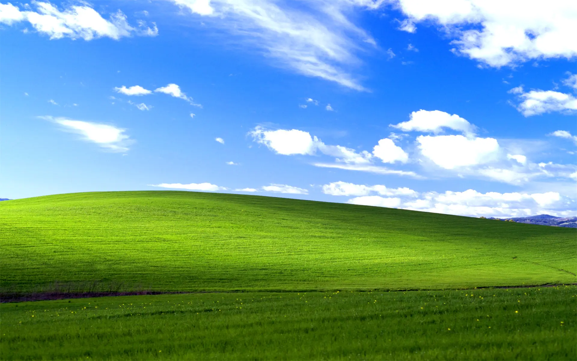 Windows 11 está roto y un exdesarrollador revela cómo arreglarlo