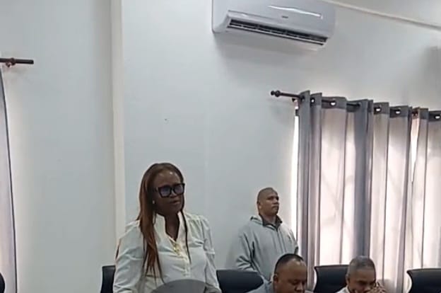 Susi de la Cruz pide a Abinader intervenir Alcaldía de SDO