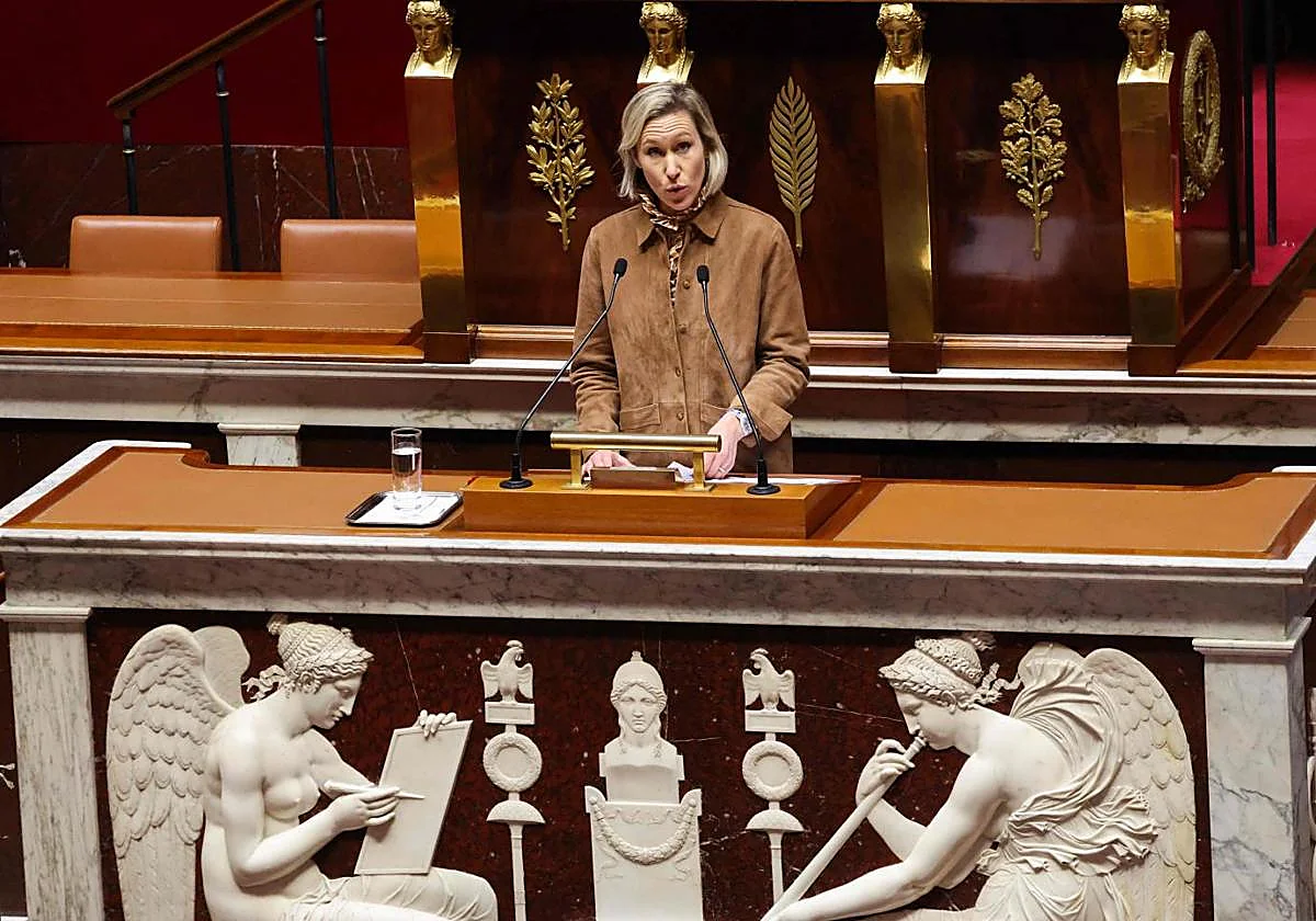 Diputados franceses aprueban prohibición de las redes