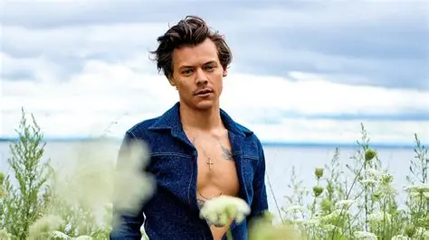 Harry Styles anuncia la gira mundial “Together, Together”