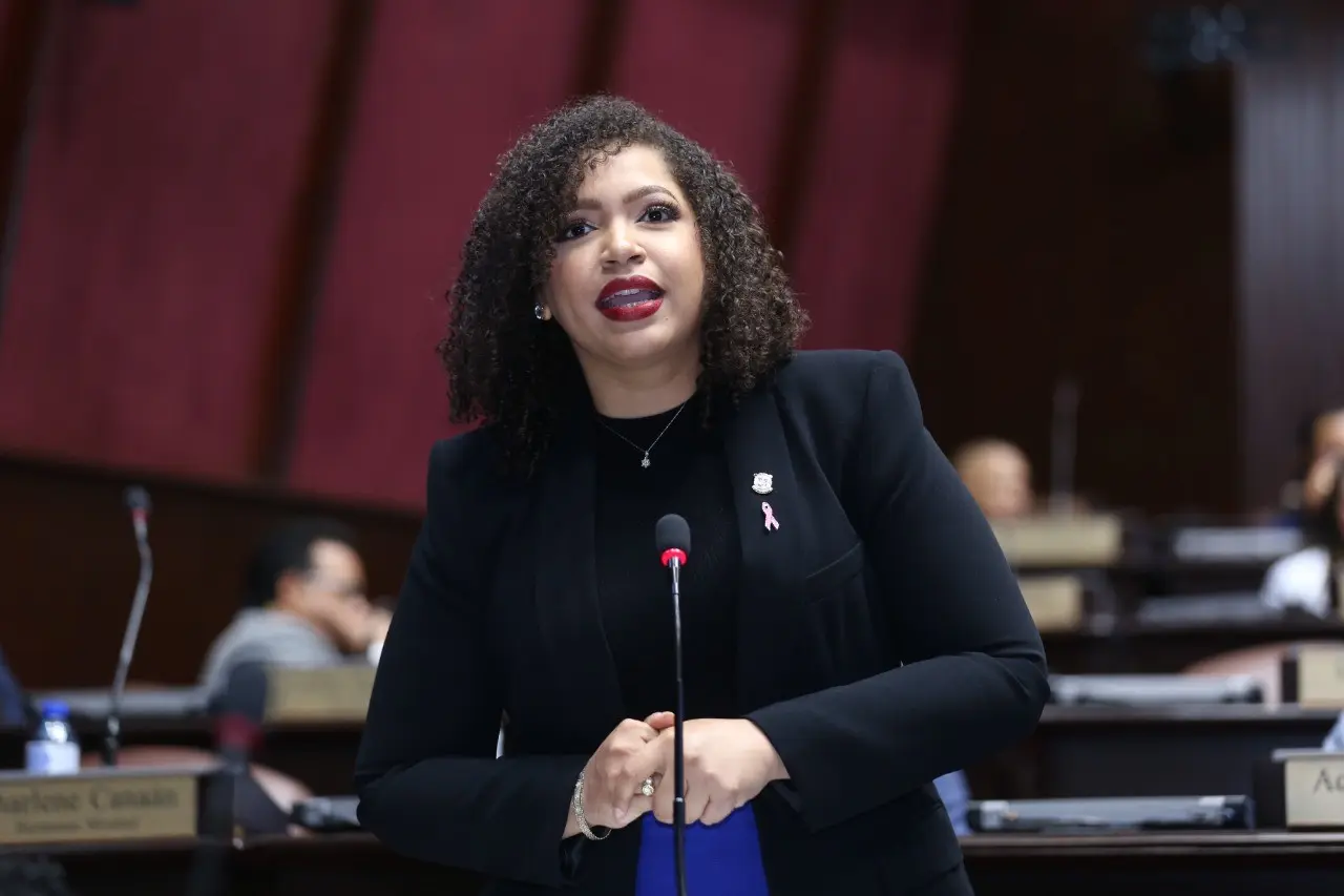 “El pueblo dominicano no necesita promesas recicladas”