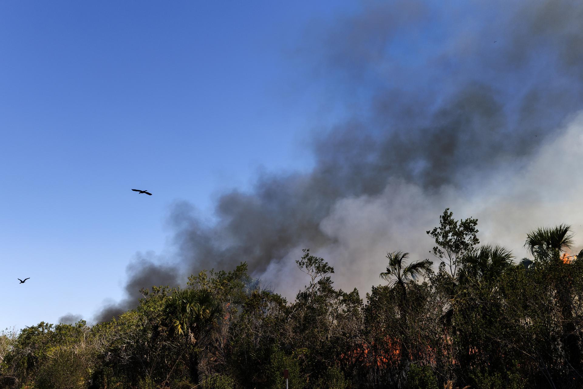 Incendio en Florida crece y amenaza un centenar de viviendas