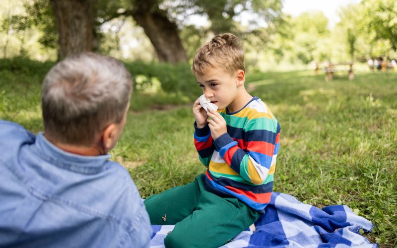 Todo sobre la alergia al polen en la infancia