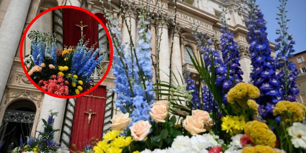 Miles de flores de Italia y Países Bajos adornarán el Vaticano en Semana Santa | De Último Minuto