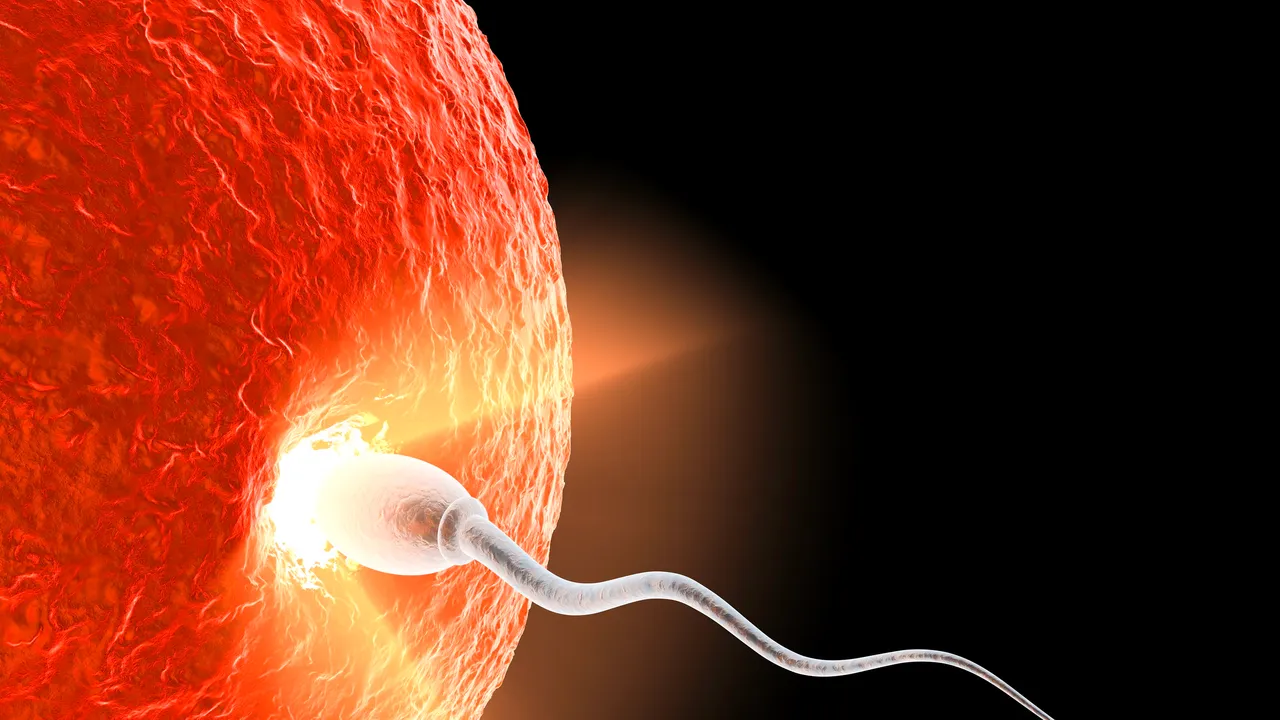 La eyaculación constante puede mejorar la calidad del esperma, sugiere un nuevo análisis sobre fertilidad masculina