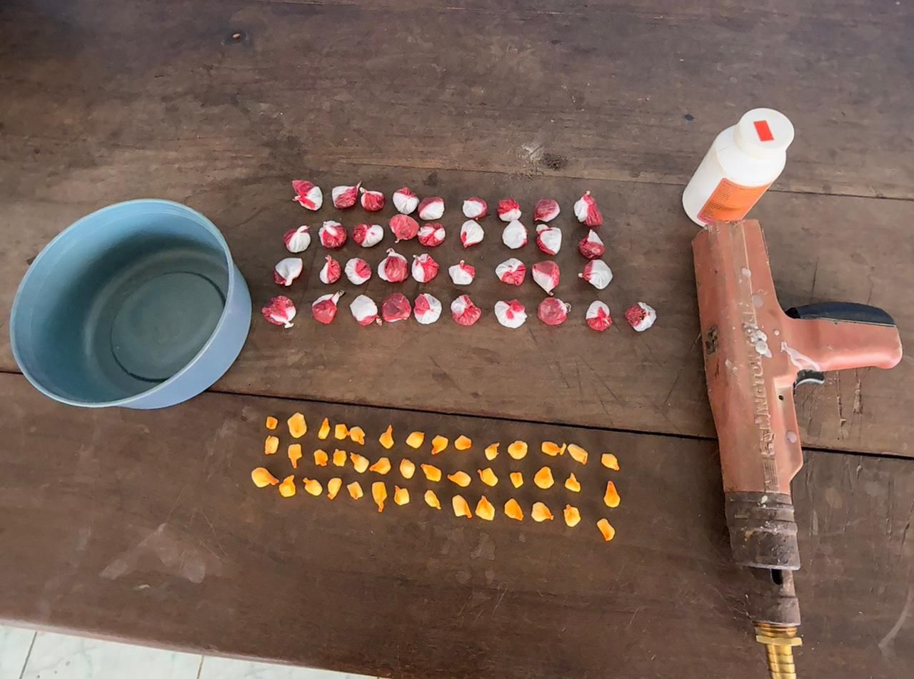 Policía desmantela presunto punto de drogas en Villa Hermosa