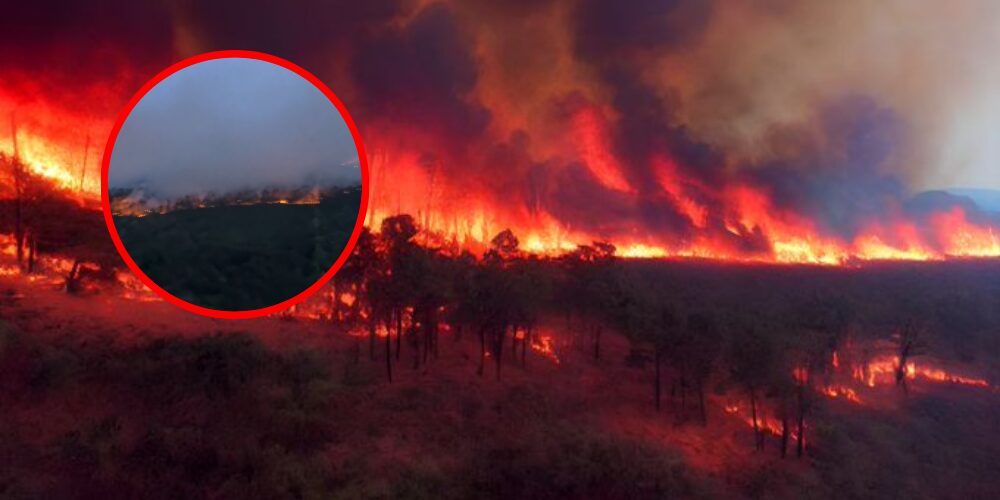 170 incendios en Georgia y Florida provocan evacuaciones