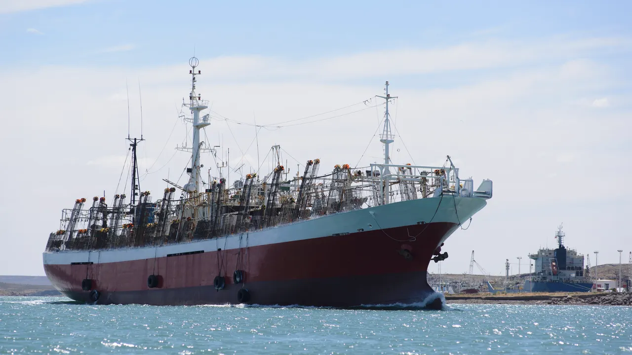 El mar argentino a oscuras: la ciencia que se pierde cuando no hay un observador a bordo de la flota pesquera
