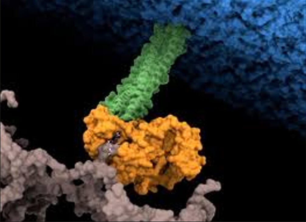 Hallan el punto débil de una de las 15 bacterias más peligrosas para la salud humana