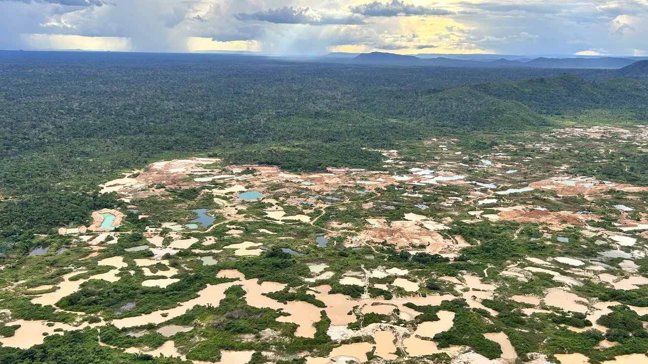 Una cuarta parte de la Amazonía podría llegar al colapso ecológico ante el avance del crimen organizado