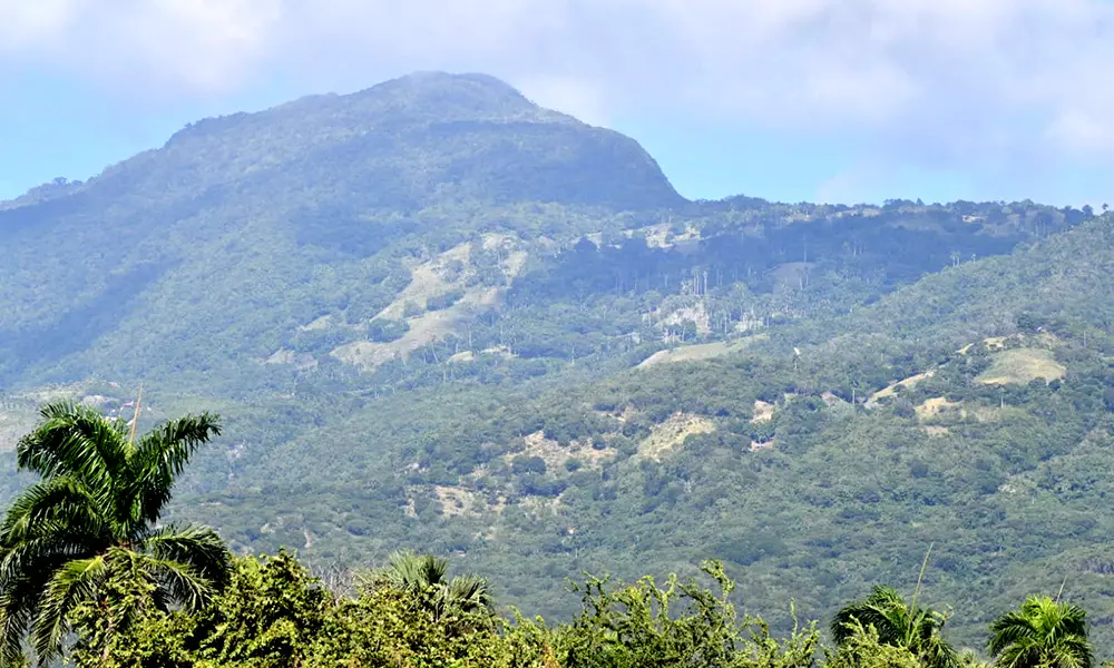 Dirigente de Fuerza del Pueblo llama al presidente Abinader a proteger la Cordillera Septentrional