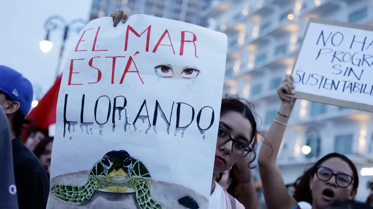 Mas allá de Mahahual: en todo México, activistas buscan combatir la crisis ambiental