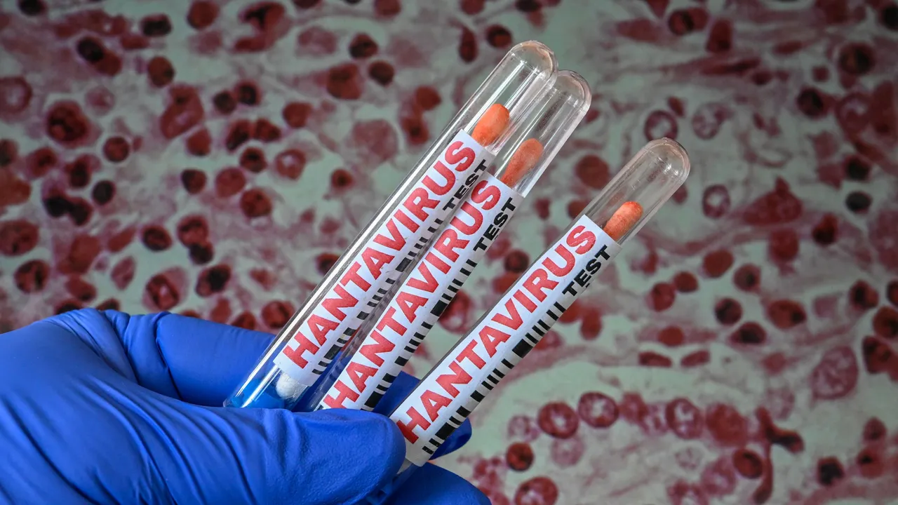La primera secuenciación genética del hantavirus en el MV Hondius confirma transmisión de persona a persona