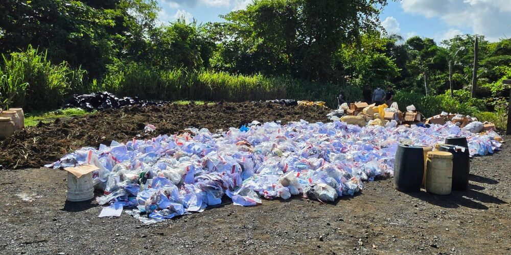 El Inacif destruye más de 3 toneladas de drogas