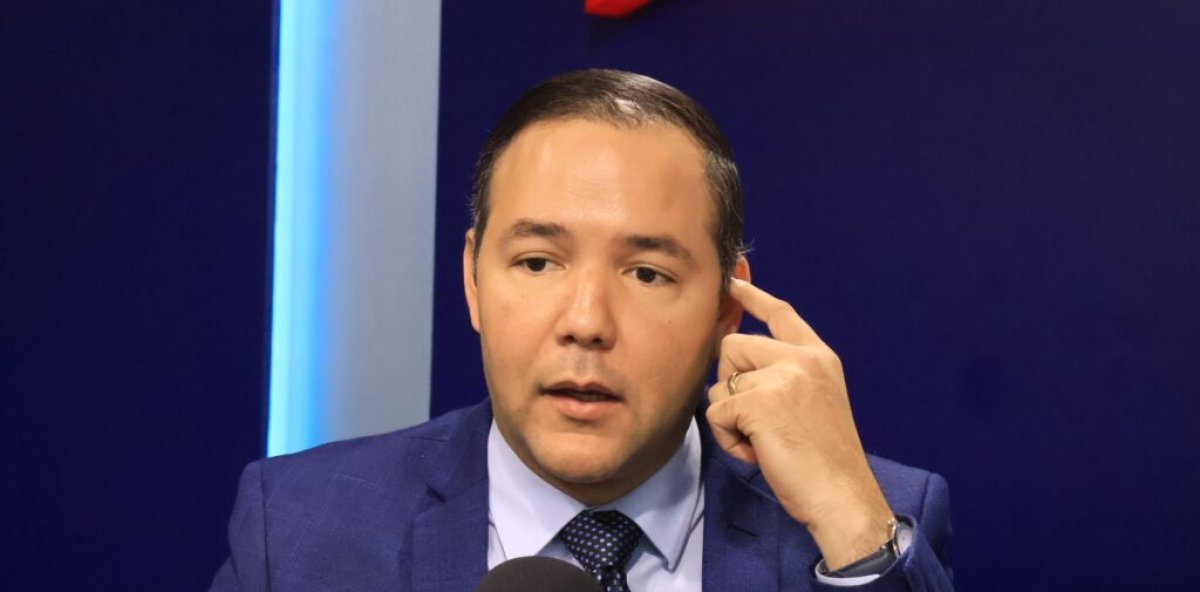 PLD dará a conocer el lunes su posición sobre el plan