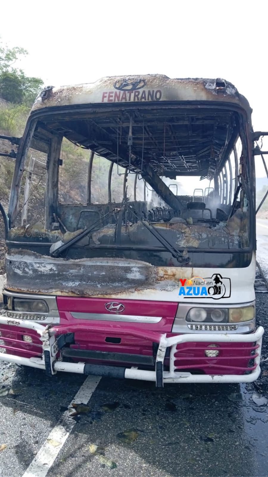Minibús de la ruta del Sur Profundo se incendia en Azua