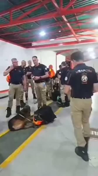 Rescatistas europeos permanecen varados en Madrid