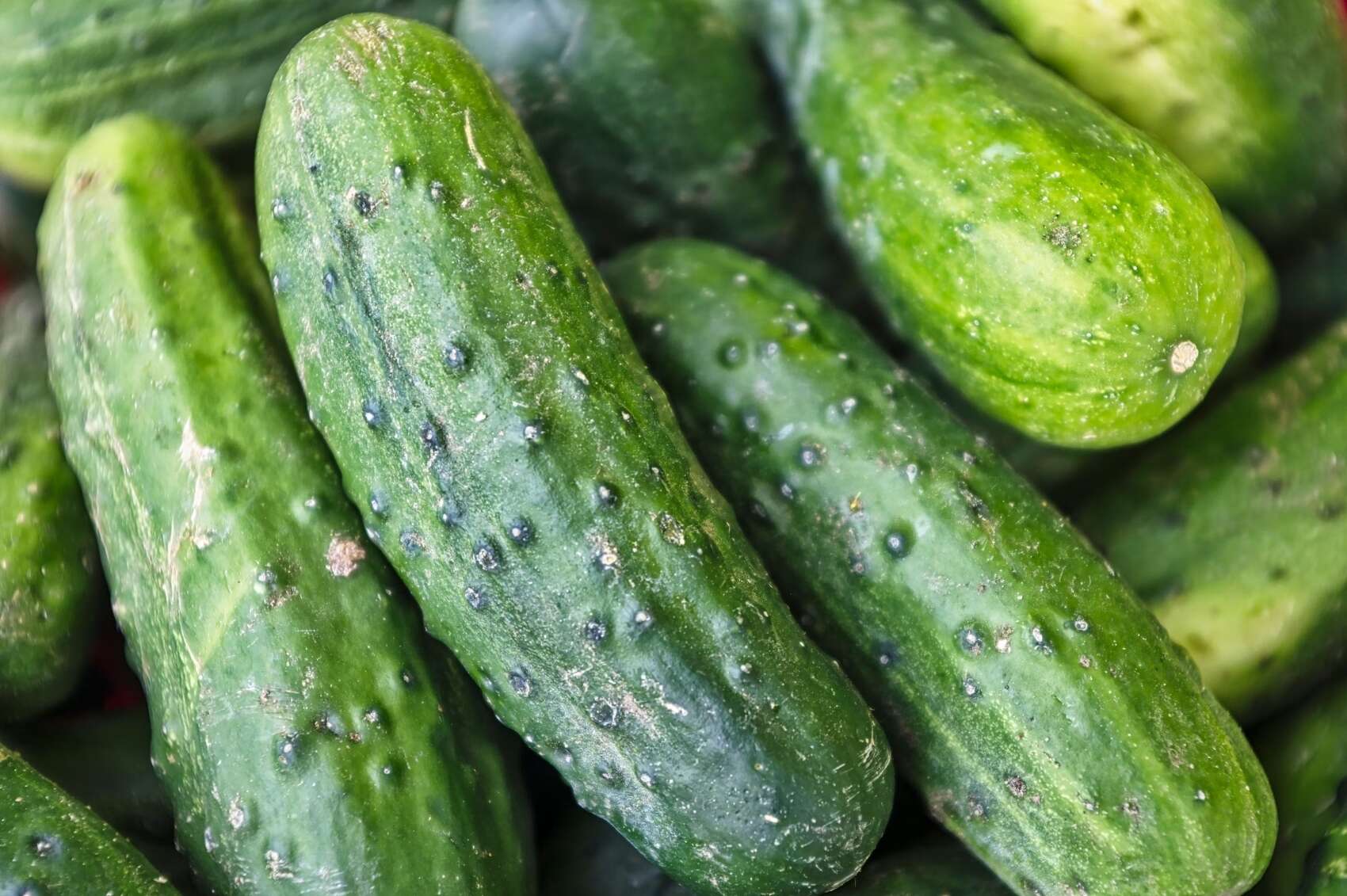 El pepino no solo hidrata: estos son los beneficios que casi nadie conoce