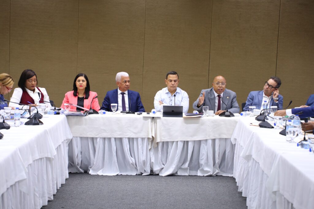 Comisión Bicameral concluyó estudio de propuestas para modificación Código Penal; rendirá informe este sábado