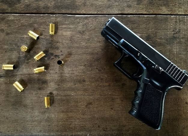 Crece el registro de armas legales y expertos llaman a fortalecer la seguridad preventiva en las empresas