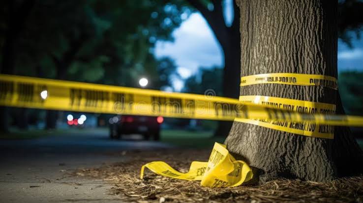 Dos muertos y cuatro heridos deja tiroteo durante festival de salsa en Toronto