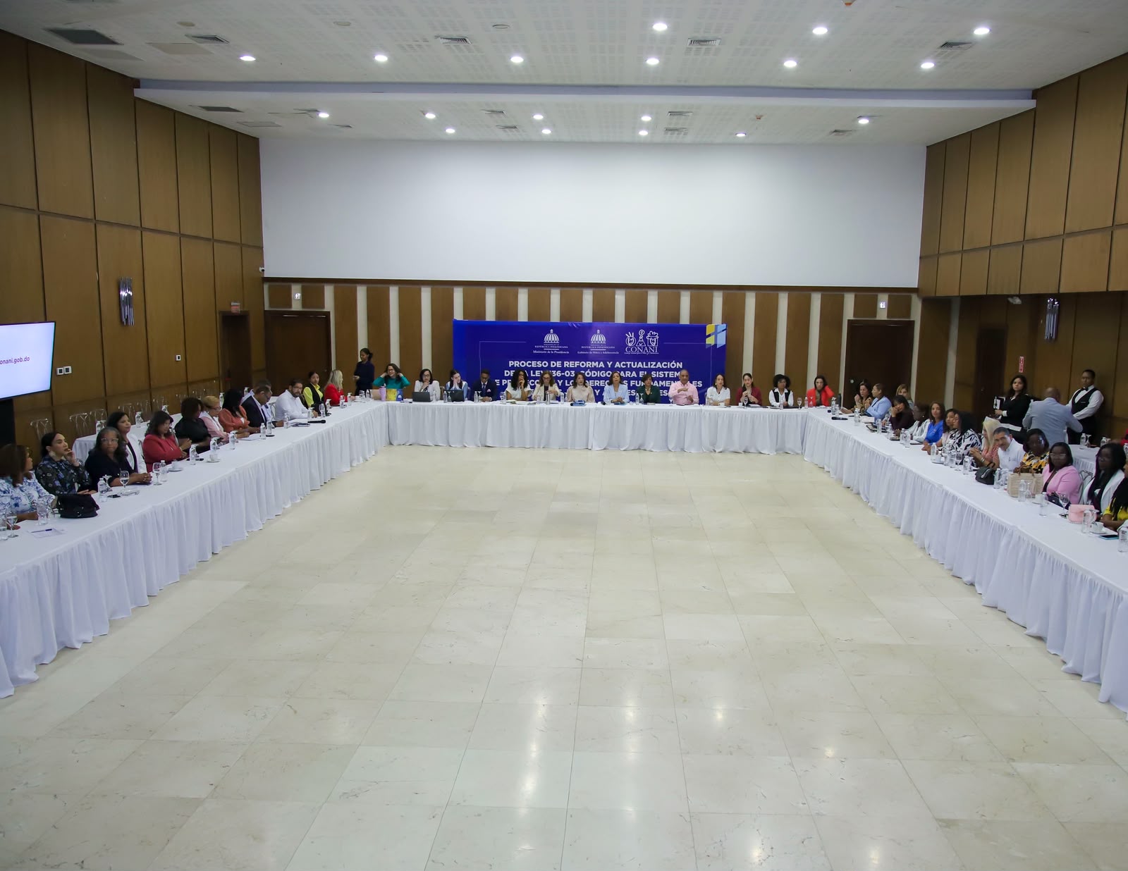CONANI escucha planteamientos de Fundación Princesas del Siglo XXI y ASONADEDI sobre reforma a la Ley 136-03