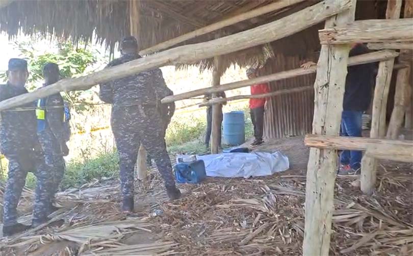 Investigan muerte de nacional haitiano hallado en una finca de tabaco en San Víctor