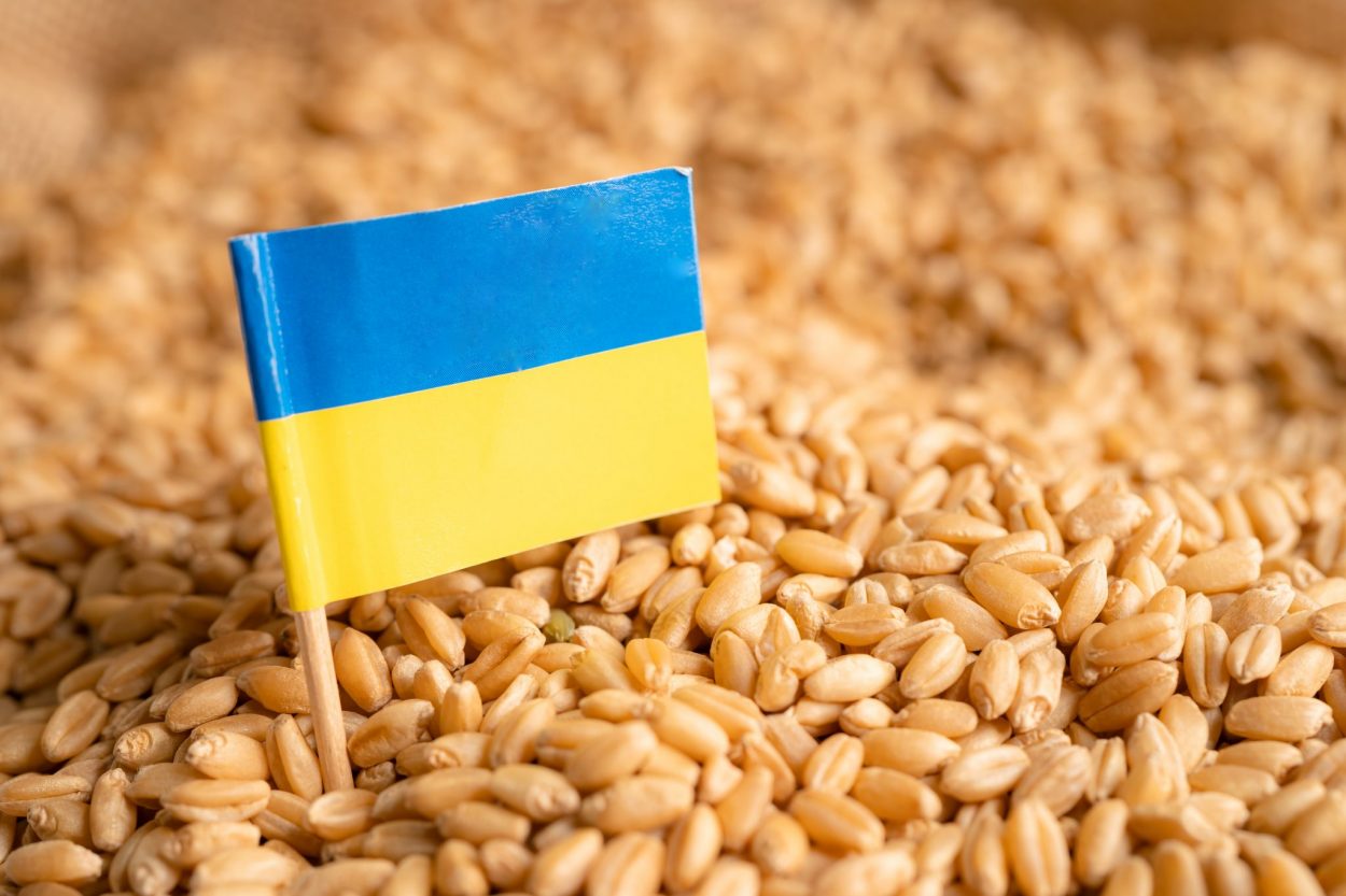 Ucrania busca salidas al bloqueo de sus puertos, que asfixia sus exportaciones de cereales