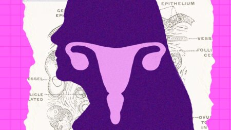Los ovarios siguen activos después de la menopausia y la ciencia quiere saber por qué