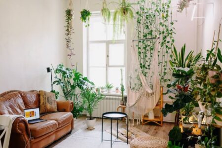 ¿Es bueno dormir con plantas en el dormitorio?
