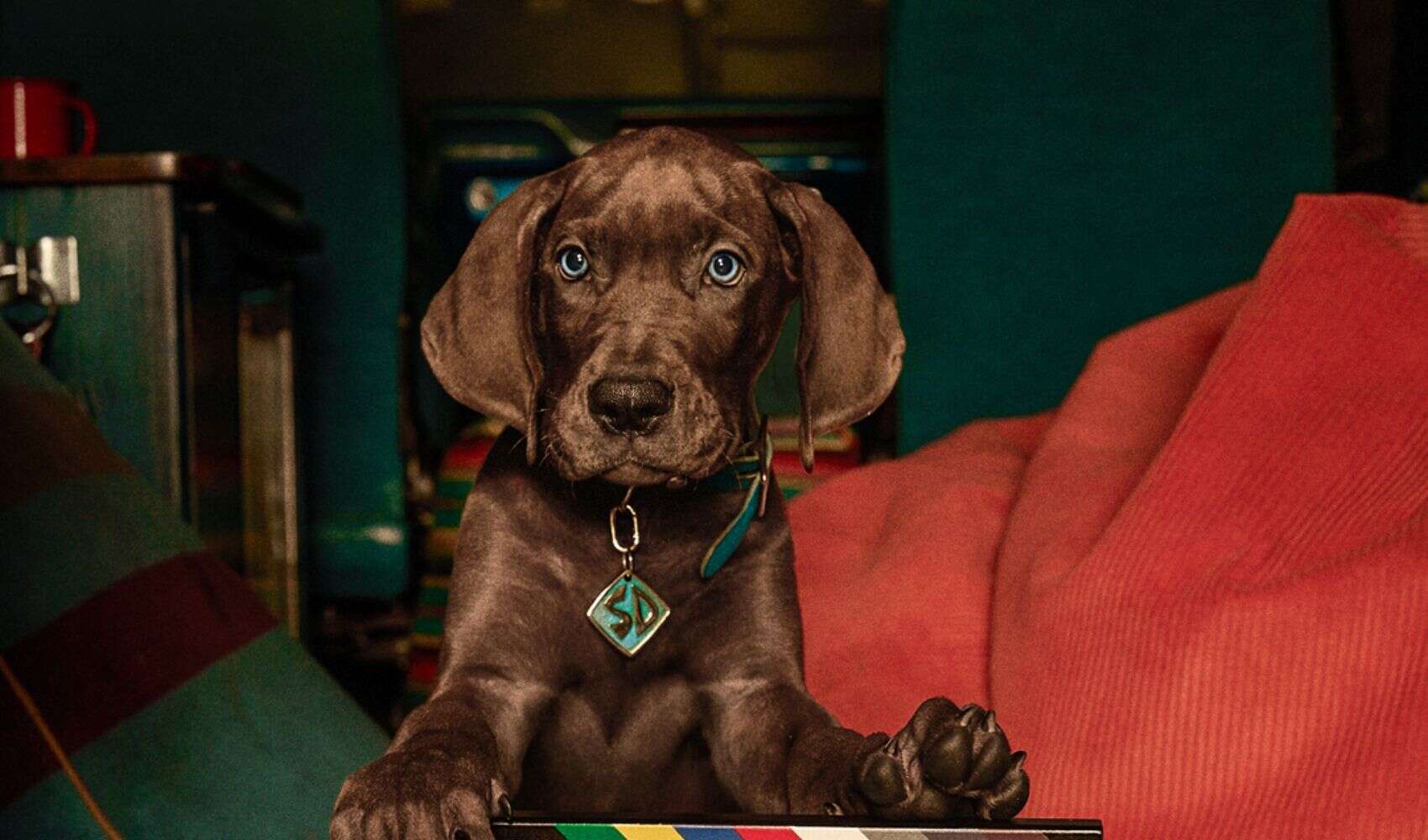 Así luce Scooby en Scooby-Doo: Origins, la nueva serie de Netflix